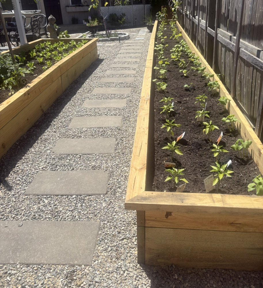 Cedar raised vegetable beds flanking a bluestone stepper path