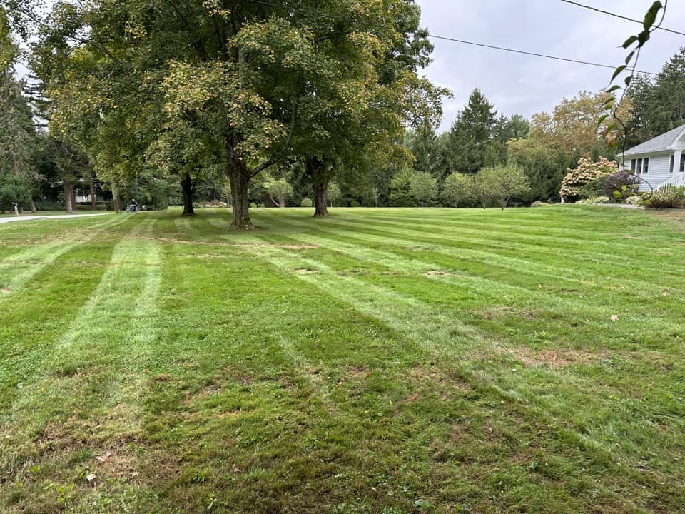 Estate lawn mowed in clean stripes around mature shade trees