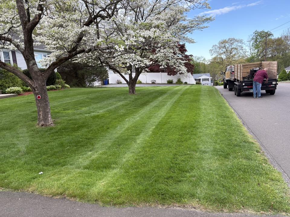 Striped front lawn under flowering dogwoods with our crew truck at the curb