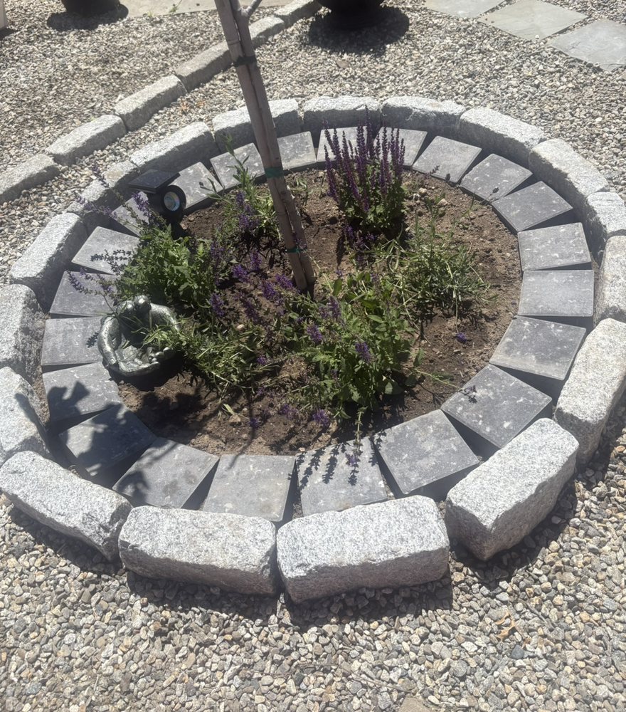 Circular granite and bluestone cobble tree ring with salvia plantings