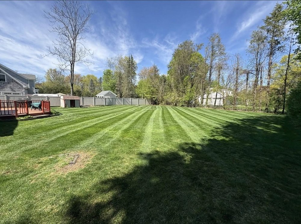 Freshly striped lawn in a fenced Fairfield County backyard
