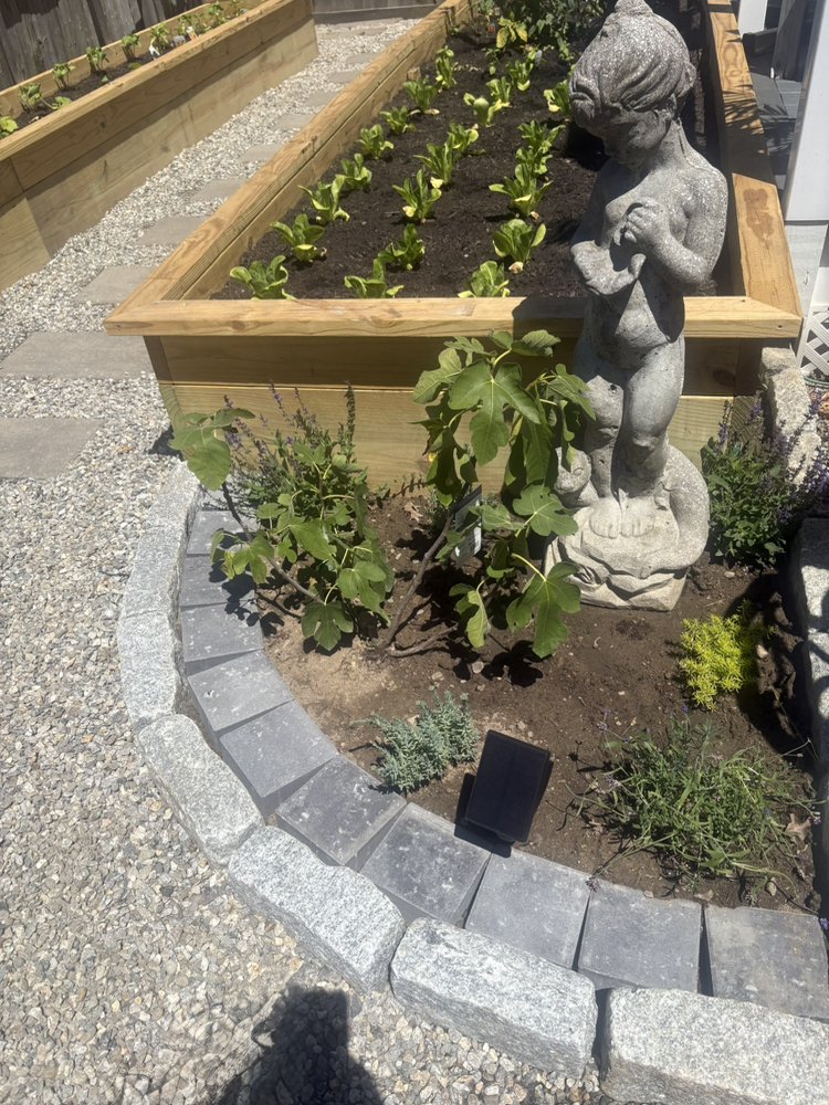 Cobble-edged garden bed with statuary beside raised planters